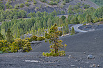 The Cumbre Nueva in La Palma