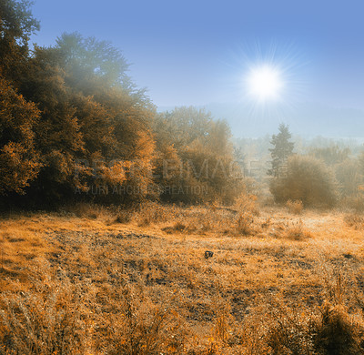 Buy stock photo Autumn - natural background