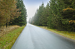 A photo of a road and a forest in autumn colors