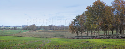 Buy stock photo Before sunset in late autumn - Denmark