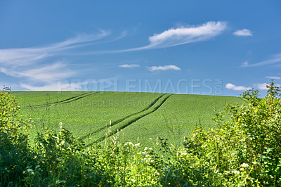 Buy stock photo Farmland in springtime - lots of copy space