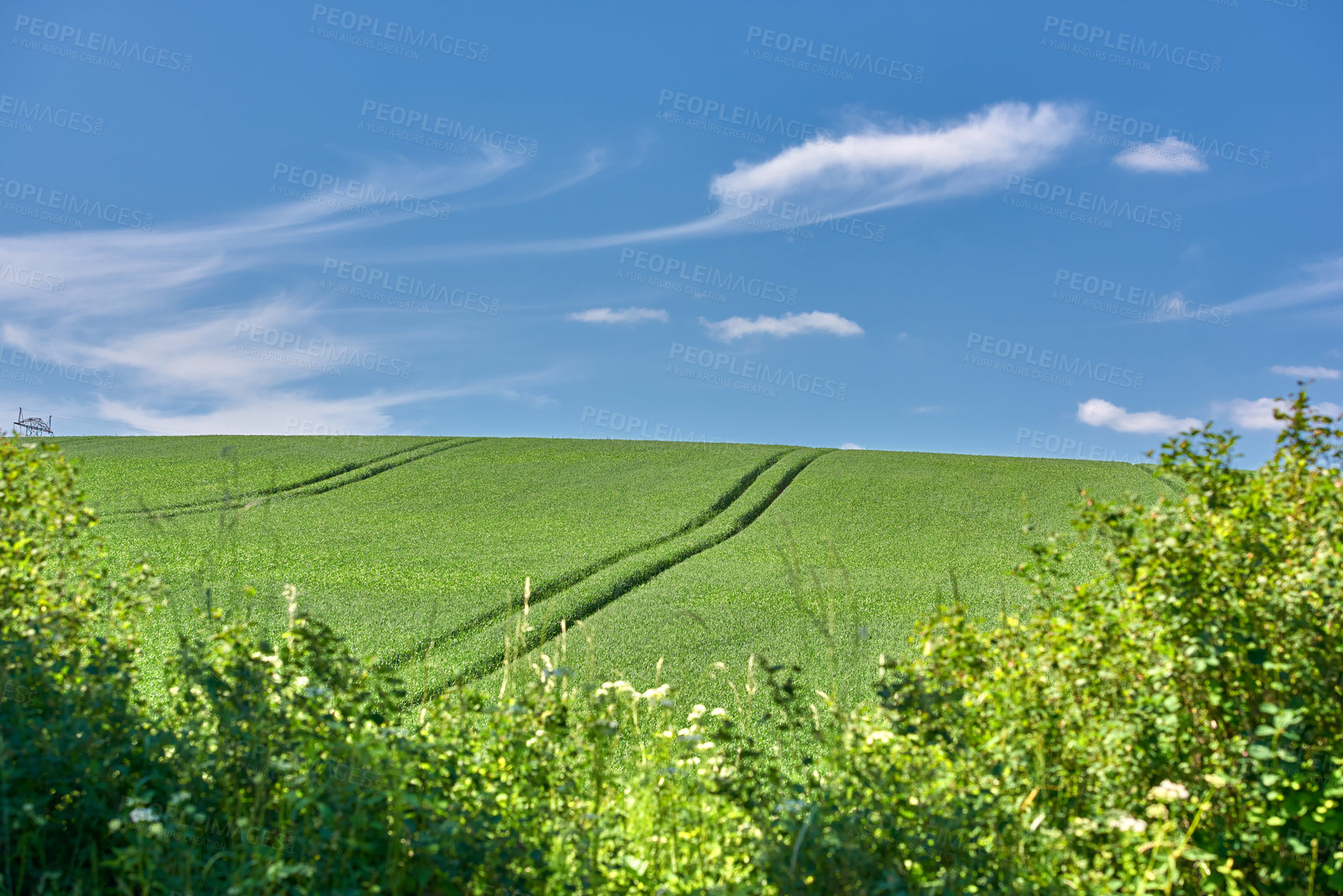 Buy stock photo Farmland in springtime - lots of copy space