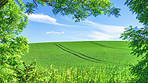 Green fields and blue sky framed by trees