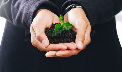 Buy stock photo Cropped shot of an unrecognizable person holding soil and a fresh new plant in the palms while indoors
