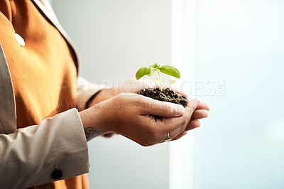 Buy stock photo Shot of an unrecognizable businesswoman holding a plant growing out of soil in her office