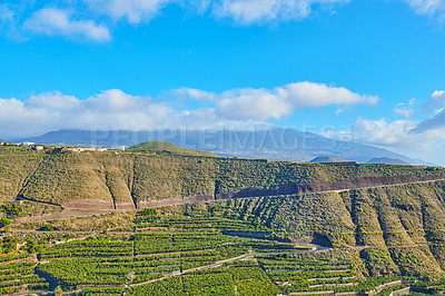 Buy stock photo Copyspace landscape view of scenic banana plantations around Los Llanos, La Palma in Spain. Remote secluded green fields and farmland on countryside from above. Mountains and hills in deserted area