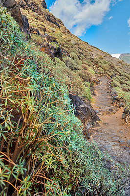 Buy stock photo Mountain trails on La Palma, the west coast, Canary Island, Spain, Aerial view