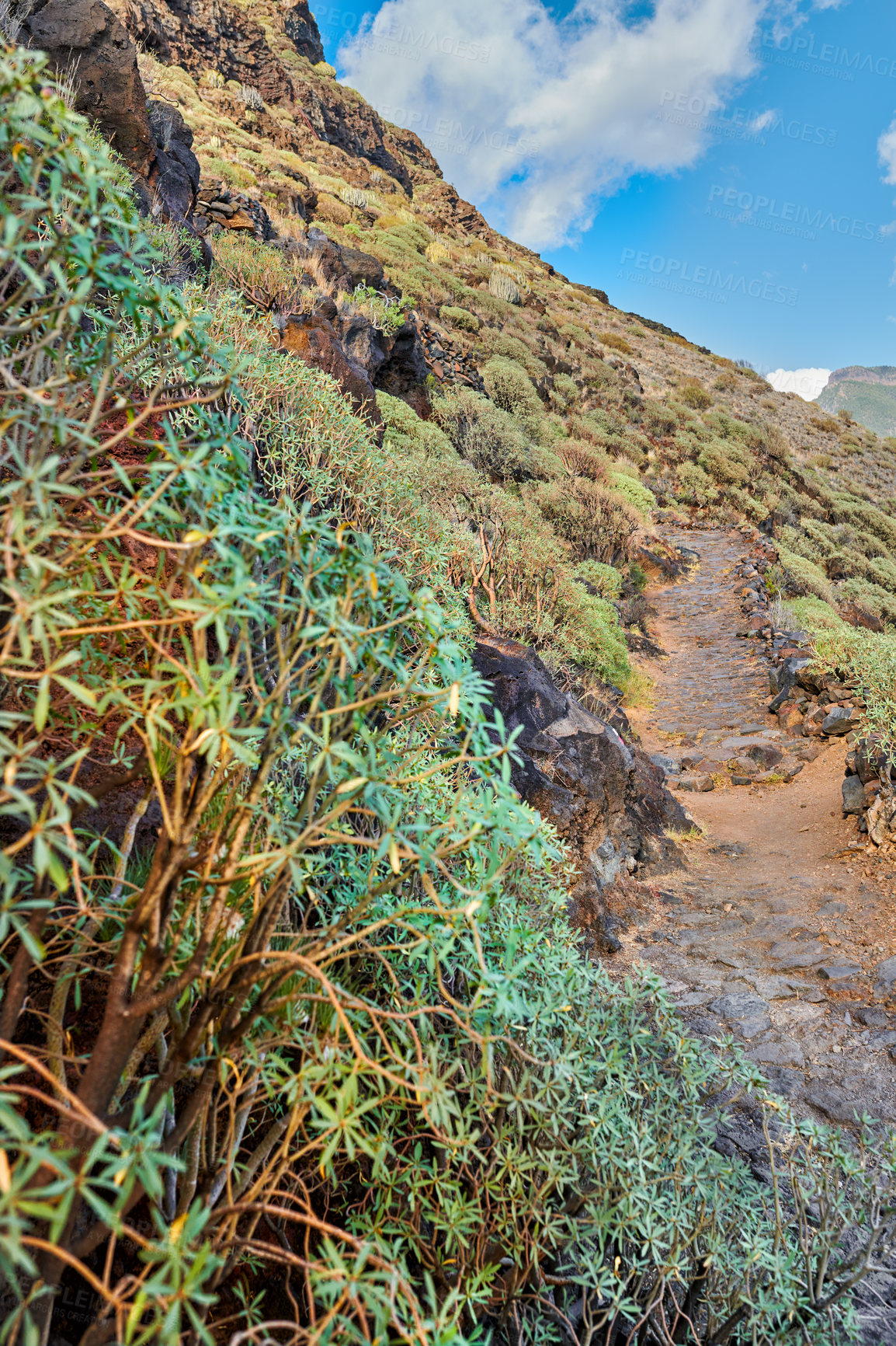 Buy stock photo Mountain trails on La Palma, the west coast, Canary Island, Spain, Aerial view