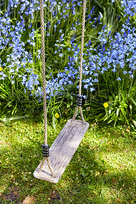 Buy stock photo A wooden swing hanging in a garden of lush Bluebell flowers on a sunny day. Peaceful backyard of harmony in nature, the perfect place to sit and relax while enjoying views of fresh blue wild flowers