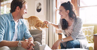 Buy stock photo Home, couple and happy with cat on couch for friendship, bonding and trust with care and support. People, animal and pet owner with fun, relax and enjoy for welfare, adoption and relationship