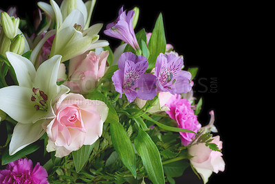 Buy stock photo A bouquet of appreciation