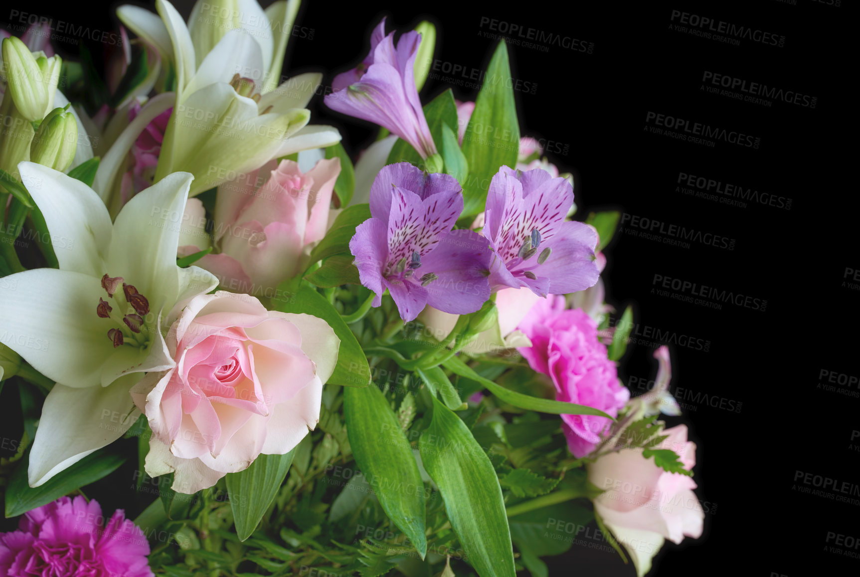 Buy stock photo Flowers, studio and bouquet on black background for growth, gift or present for botany. Many plants, leaves and petals closeup for eco friendly, natural sustainability or floral color for wallpaper