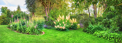 Buy stock photo A series of beautiful garden photos