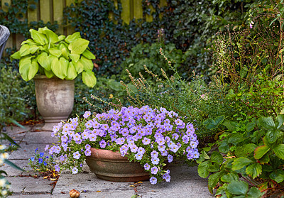 Buy stock photo A series of beautiful garden photos