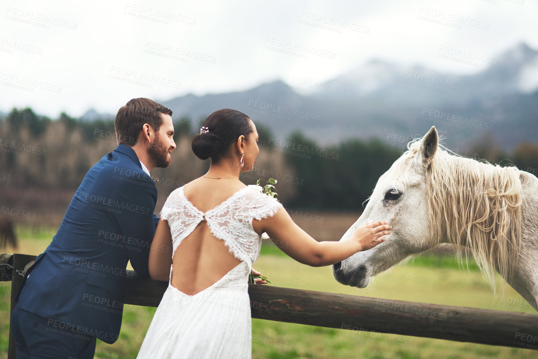 Buy stock photo Shot of a happy newlywed young couple petting a horse outside on their wedding day