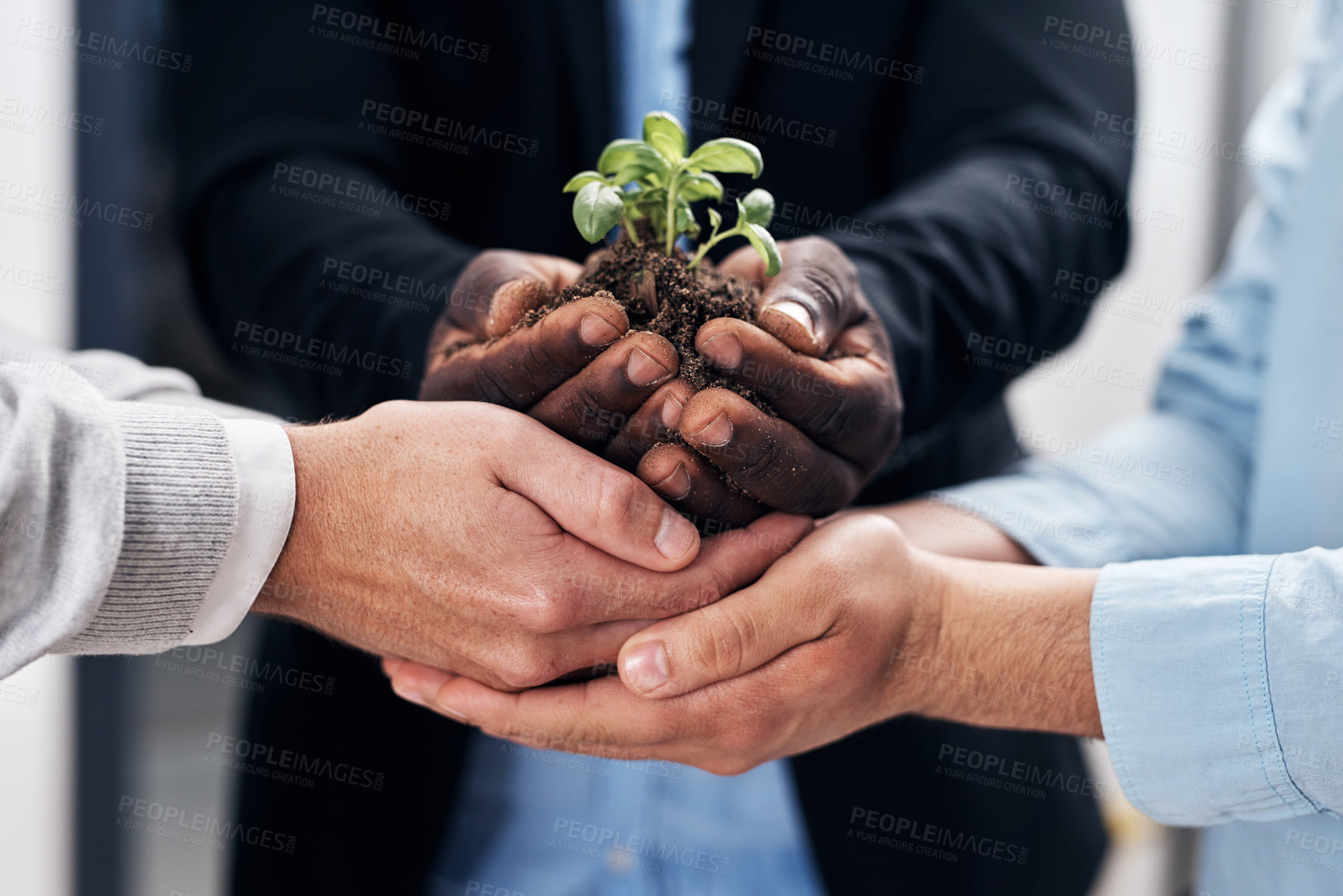 Buy stock photo Hands, business people and plant soil with sustainability, recycle and eco initiative and growth in office. Collaboration, earth and nurture environment with company carbon footprint accountability