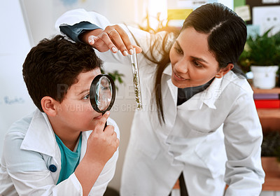 Buy stock photo Shot of an adorable little boy learning about plants with his teacher at school