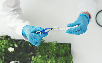 Buy stock photo Cropped shot of an unrecognizable female scientist using a tweezer to put a plant sample into a test tube while working in a laboratory