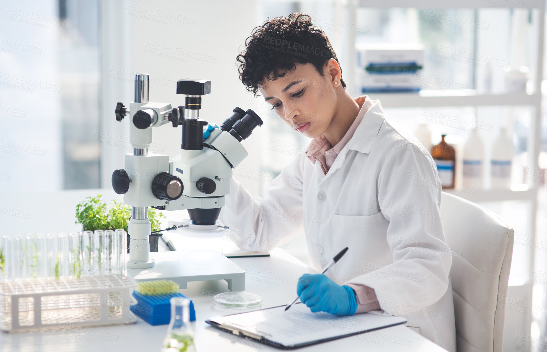 Buy stock photo Cropped shot of an attractive young female scientist making notes while working with a microscope and plants in a laboratory