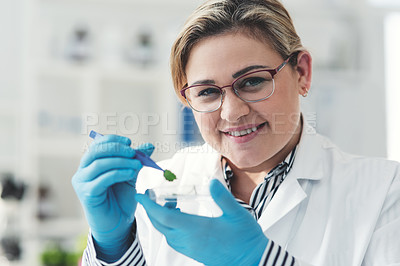 Buy stock photo Cropped portrait of an attractive young female scientist holding up a leaf sample with a tweezer while working in a laboratory