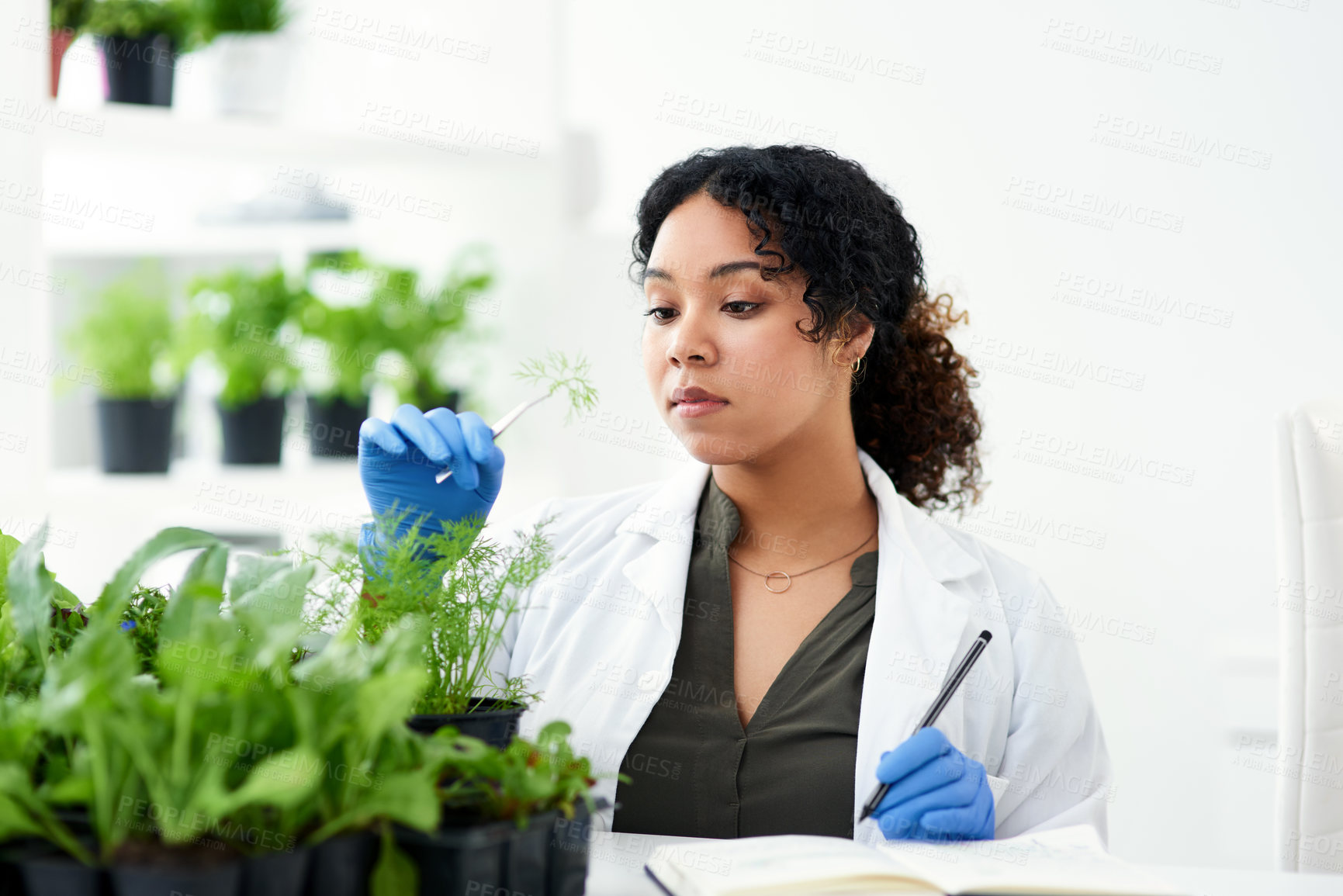 Buy stock photo Science, plant and woman in laboratory with notes for research, biology and ecology study. Healthcare, agriculture and person with leaf for sustainable, organic and medicine for vaccine development