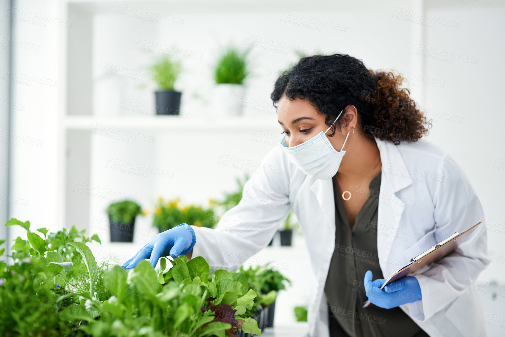 Buy stock photo Environment, scientist and woman with clipboard in lab for biochemistry, development or research. Science, innovation and person with checklist for phytochemistry, ecosystem or review of plant growth