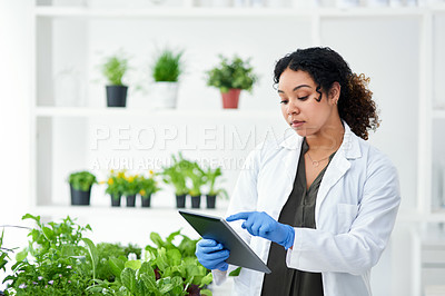 Buy stock photo Shot of a scientist using a digital tablet while standing in a lab