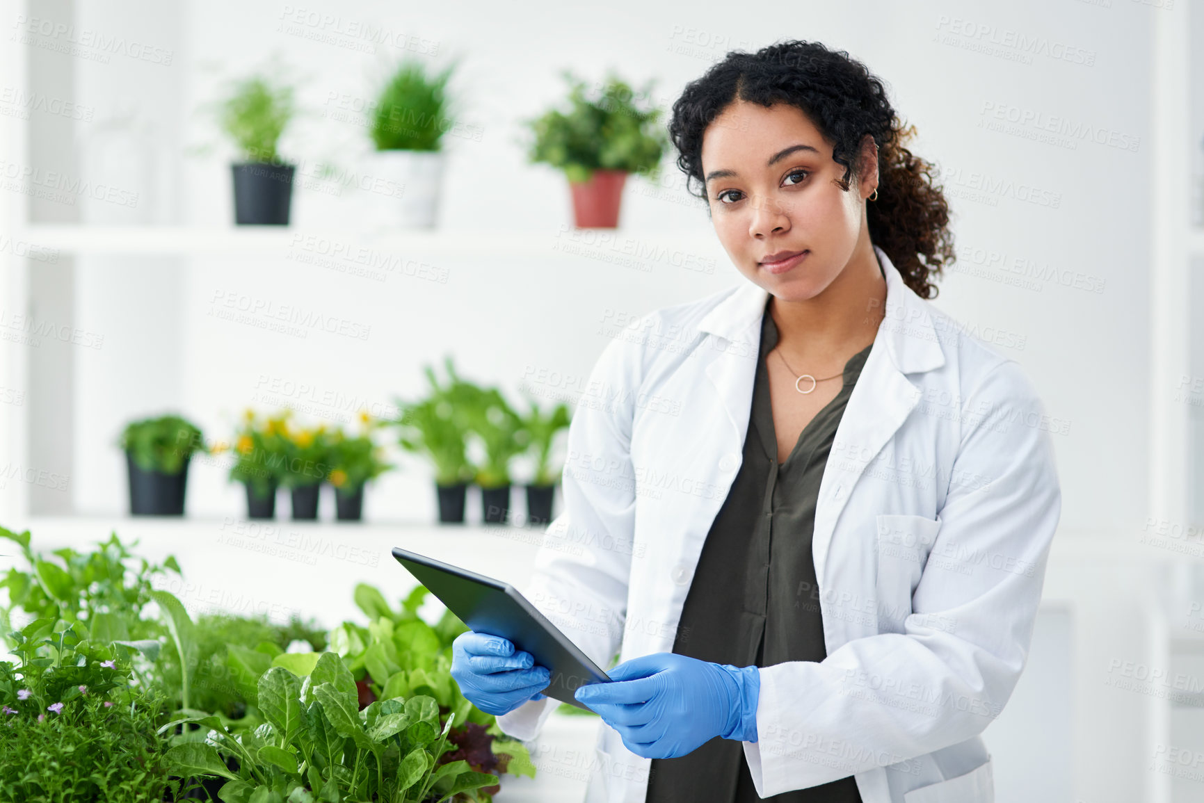 Buy stock photo Laboratory, scientist and portrait of woman with tablet for biochemistry, ecosystem and research. Science, ecology and female person with tech by plants for climate change, innovation and development