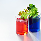 Keep Experimenting Buy Stock Photo On Peopleimages Picture And