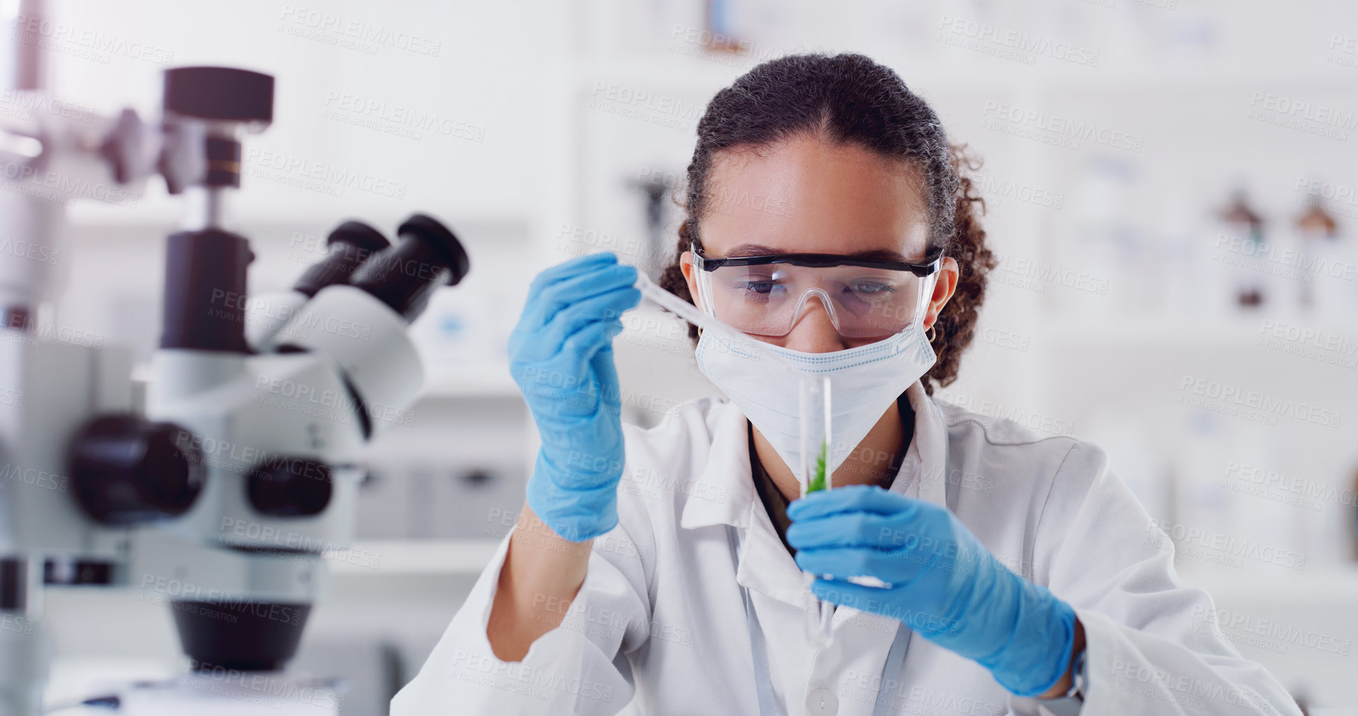 Buy stock photo Lab worker, woman scientist and plant chemical pour of employee with science work. Laboratory mask, medical test and chemistry for botany and ecology analysis doing futuristic research with sprout