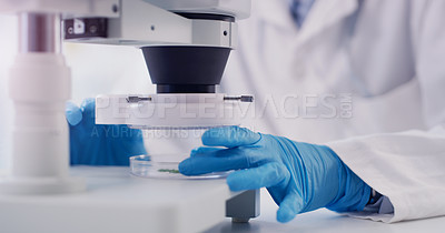 Buy stock photo Closeup, scientist and person with microscope in lab, research and breakthrough with cancer and medical analysis. Researcher, employee and gloves with equipment and petri dish for experiment and test