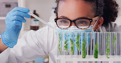 Buy stock photo Science, test tube and plant with woman in laboratory for medical, pharmacy and research. Biotechnology, growth and healthcare study with scientist and focus for sustainability, vaccine and medicine