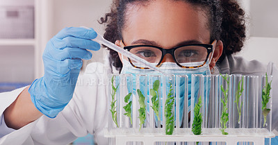 Buy stock photo Science, biotechnology and plant with woman in laboratory for medical, pharmacy or research. Chemical, botany and healthcare study with scientist and test tube for sustainability, ecology or medicine