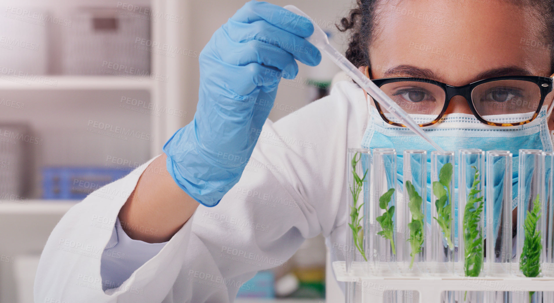 Buy stock photo Science, sample and plant with woman in laboratory for medical, pharmacy and research. Biotechnology, growth and healthcare study with scientist and test tube for sustainability, vaccine and medicine