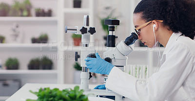Buy stock photo Science, microscope and plant with woman in laboratory for medical, pharmacy and research. Biotechnology, ecology and healthcare with gmo scientist and test tube for biology, vaccine and medicine