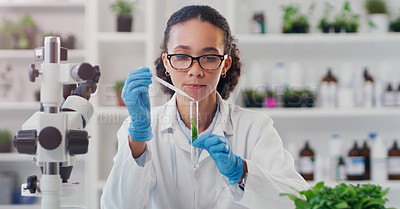 Buy stock photo Lab worker, woman ecology scientist and test tube with chemical of employee with science work. Laboratory, medical and plant for disease, virus and health analysis doing futuristic research with tech