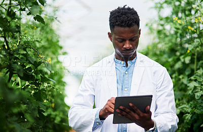 Buy stock photo Shot of a handsome young botanist using a digital tablet while working outdoors in nature