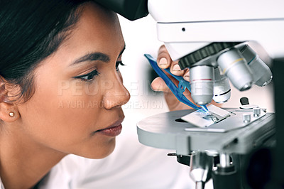 Buy stock photo Science, research and woman with microscope in lab for medical study, stem cell and innovation. Scientist, tweezers and biotechnology with sample for vaccine development, bacteria and investigation