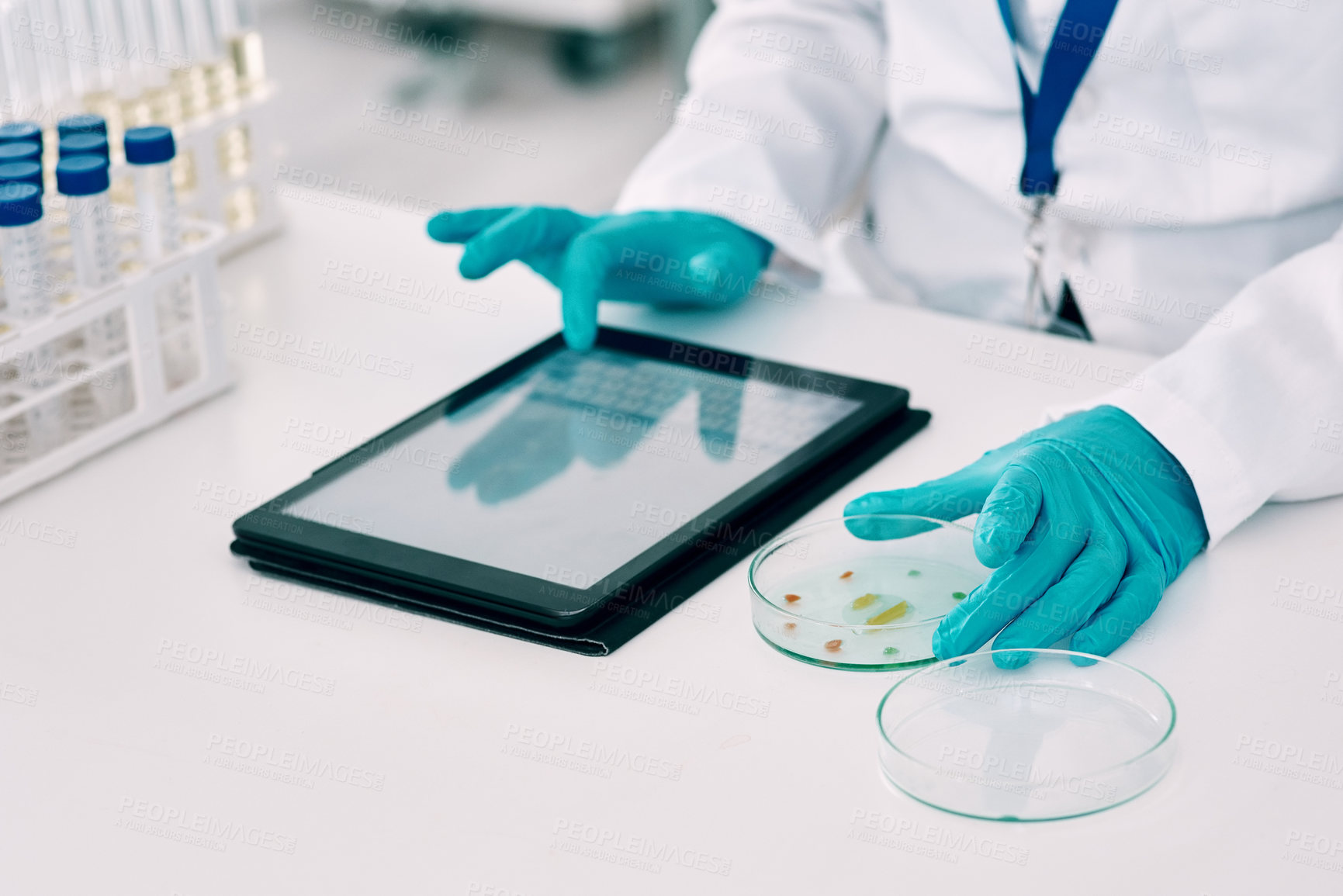 Buy stock photo Cropped shot of an unrecognizable female scientist using a digital tablet while working in a laboratory