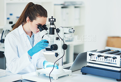 Buy stock photo Science, research and woman with microscope in laboratory for sample, bacteria and medical innovation. Pharmaceutical, scientist and biotech with test for Mpox vaccine, development and clinical trail