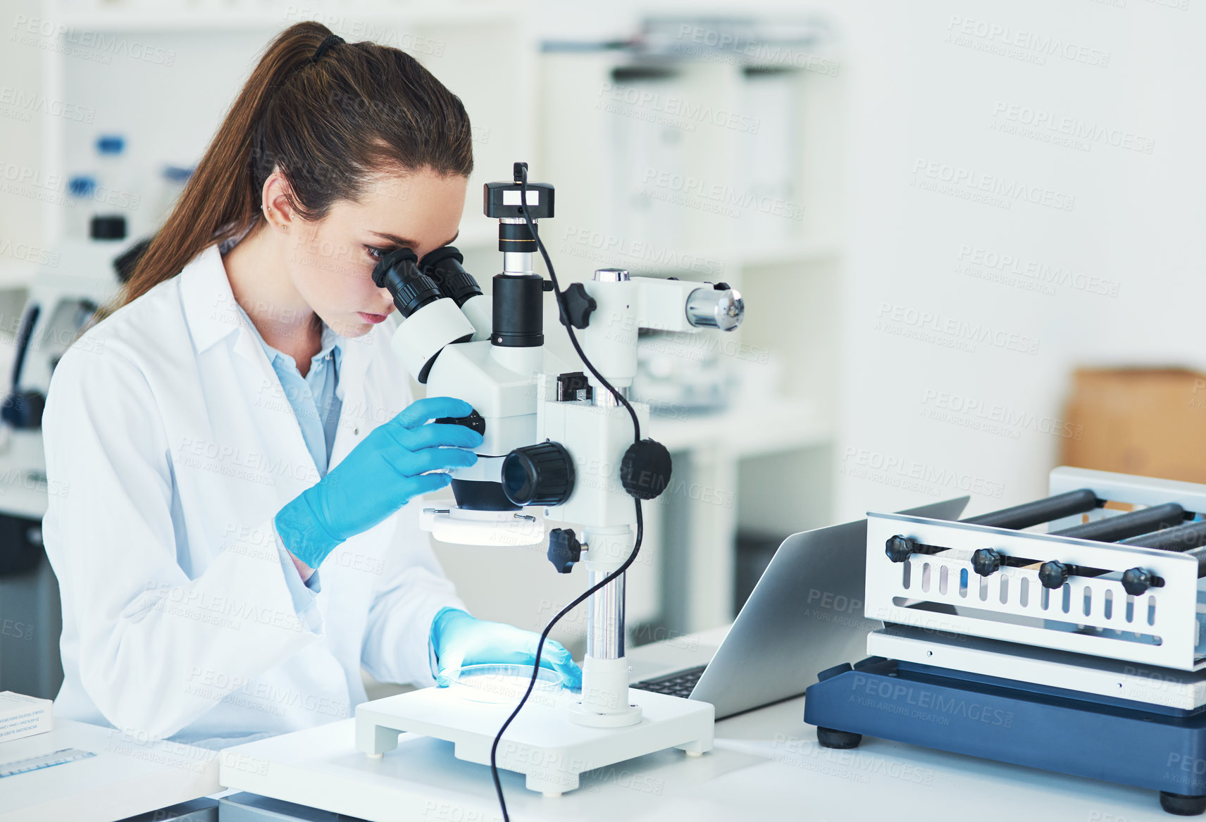 Buy stock photo Science, research and woman with microscope in laboratory for sample, bacteria and medical innovation. Pharmaceutical, scientist and biotech with test for Mpox vaccine, development and clinical trail