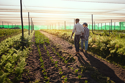 Buy stock photo Rearview shot of two young farmers working inside of a greenhouse on their farm