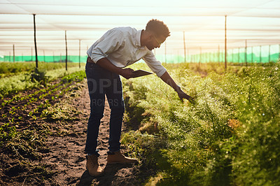 Buy stock photo Full length shot of a handsome young male farmer using a tablet while working on his farm