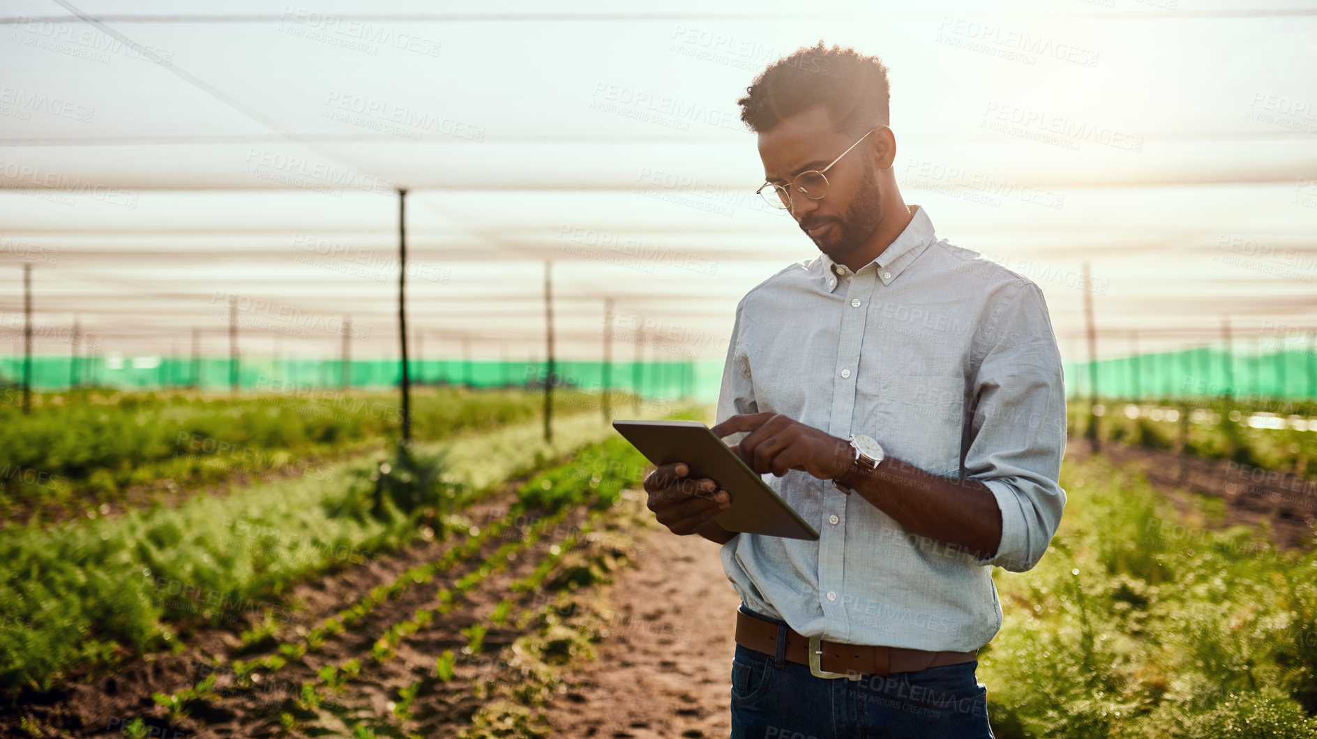 Buy stock photo Cropped shot of a handsome young male farmer using a tablet while working on his farm