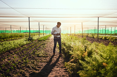 Buy stock photo Full length shot of a handsome young male farmer using a tablet while working on his farm