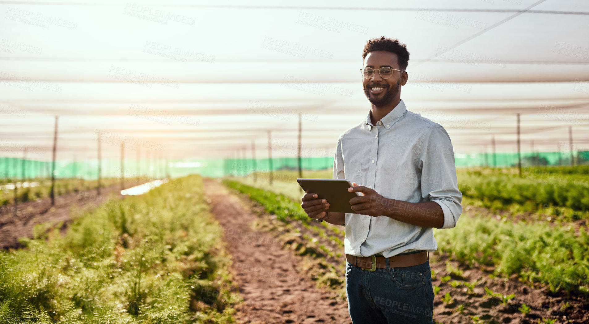 Buy stock photo Modern farmer working on a tablet on a farm and checking plants growth progress with an online app or agriculture management software. Businessman doing inspection of carrot harvest or plantation