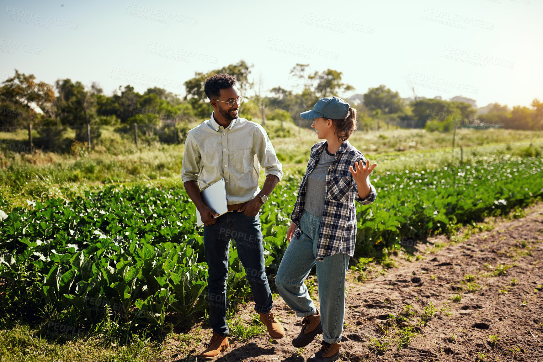 Buy stock photo Full length shot of two young farmers walking around and inspecting their farm