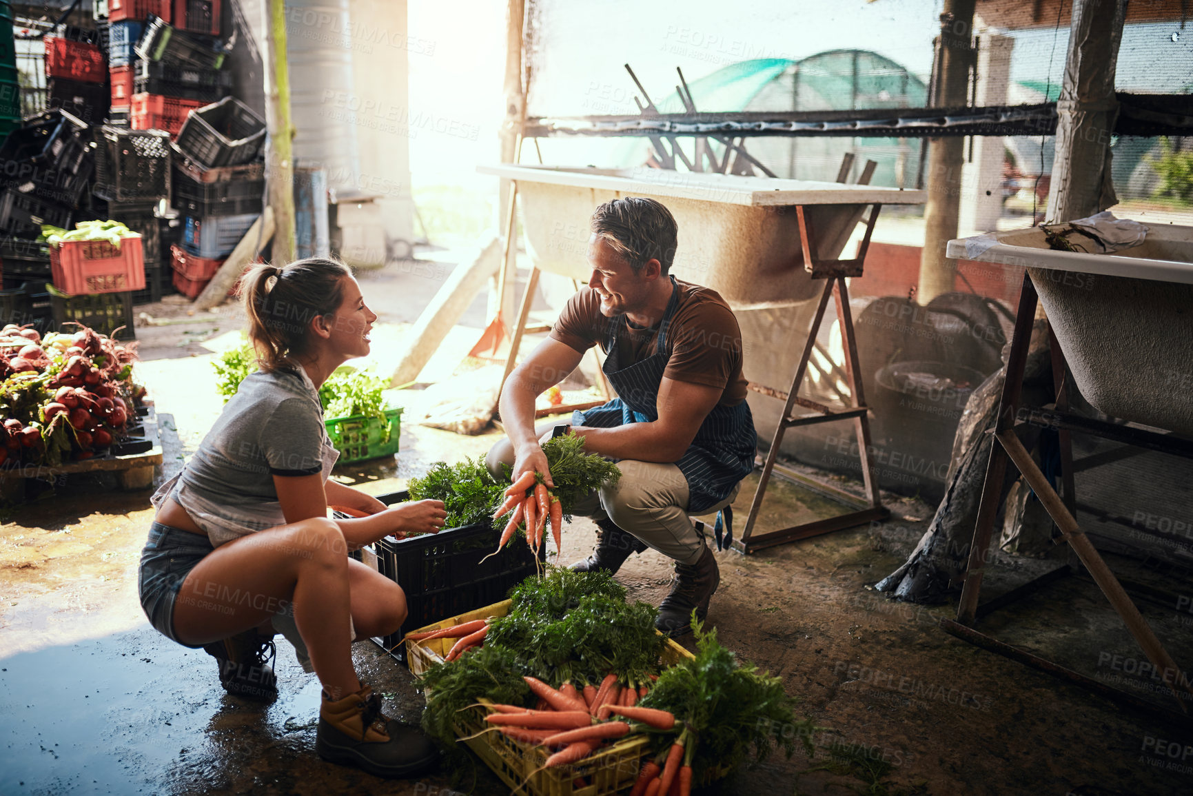 Buy stock photo Full length shot of a happy young couple cleaning and preparing bunches of freshly picked produce at their farm