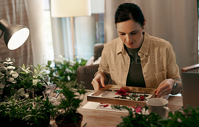 Buy stock photo Shot of an attractive young florist decorating and pressing flowers into a wall frame inside her store