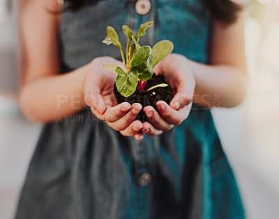 Buy stock photo Cropped shot of an unrecognizable young girl holding a plant growing out of soil while standing indoors